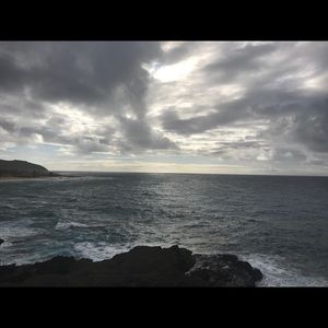 Meet your Posher, Malika